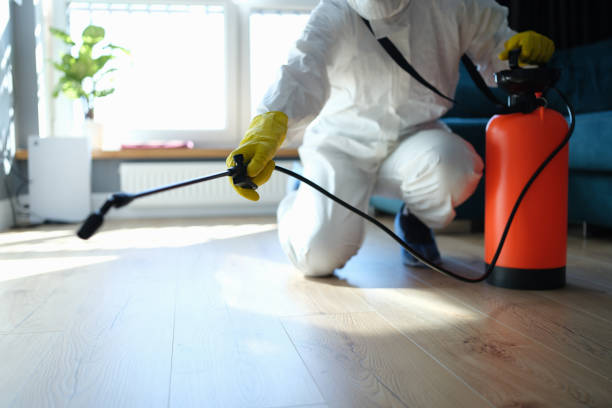 Trusted Trauma Scene Cleanup service in Spring Valley, CA - Four Month Blood Cleanse
